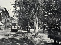Zrinjevac 1925. godine, drvored na zapadnoj strani.jpg